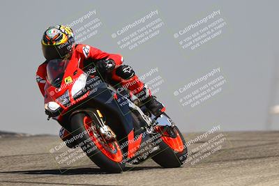 media/Aug-03-2025-TrackDaz (Sun) [[bf4a71acf9]]/C Group/1140am (Grapevine)/